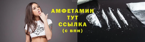 шишки Беломорск