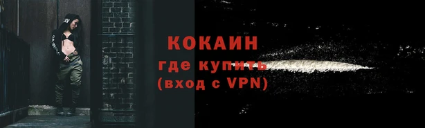 ПСИЛОЦИБИНОВЫЕ ГРИБЫ Балахна
