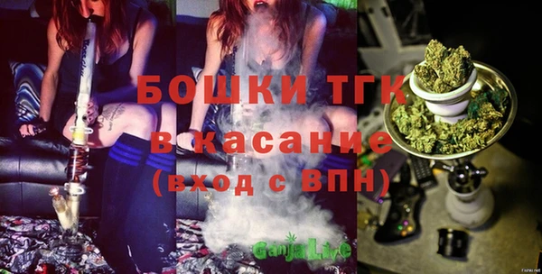 шишки Беломорск