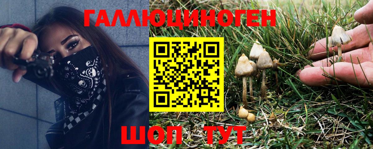 Галлюциногенные грибы мицелий Сланцы