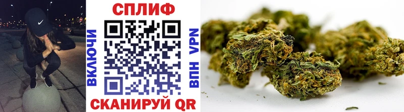 где найти Сланцы Бошки марихуана THC 21%